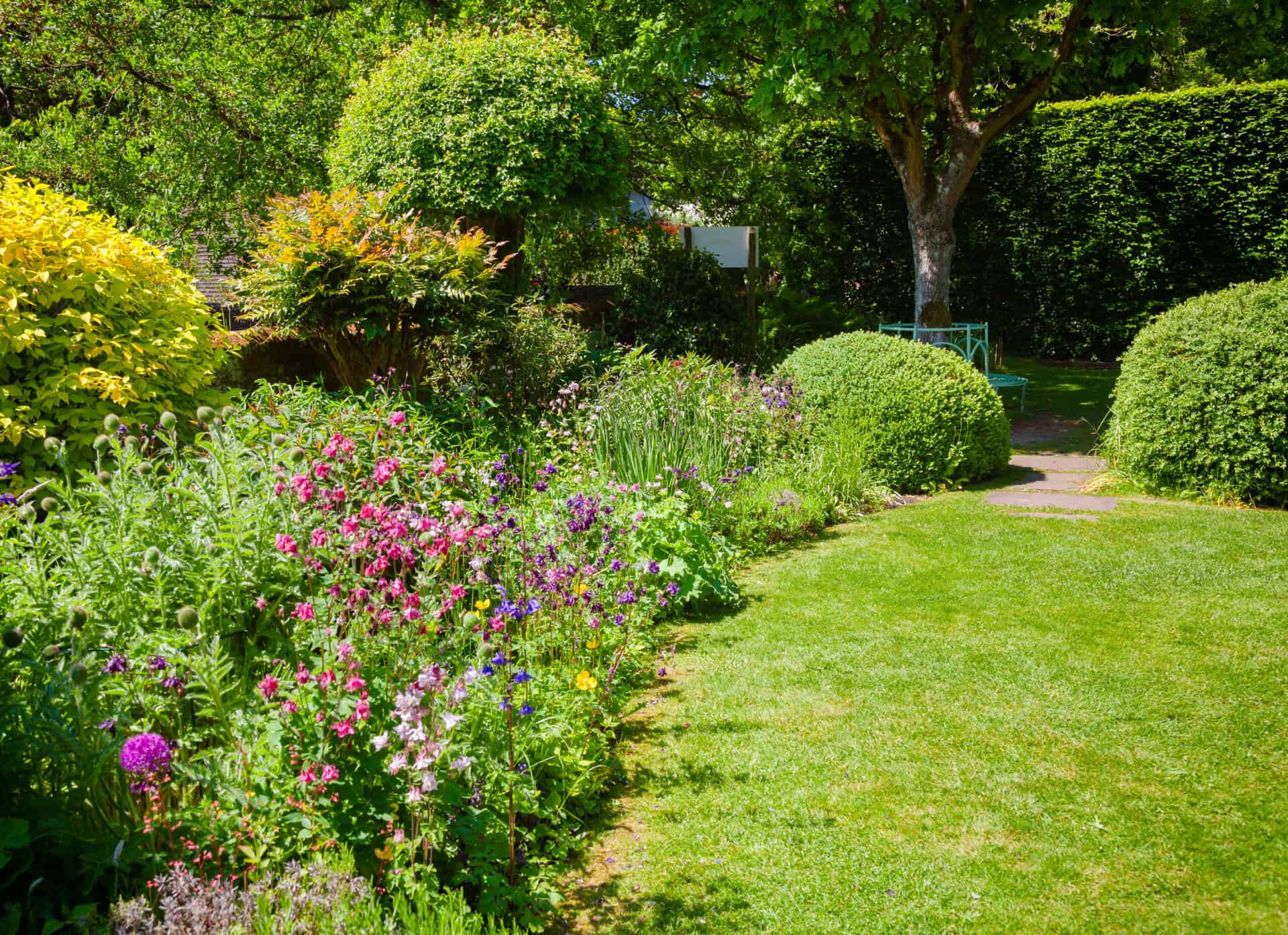 Established garden with natural lawn, flower borders and mature hedges